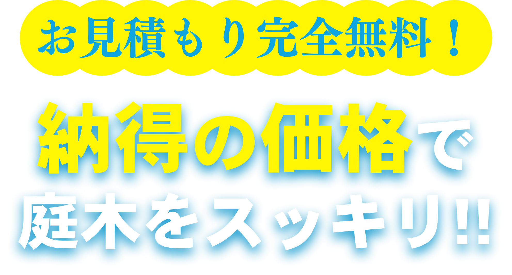 お見積り完全無料！納得の価格で庭木をスッキリ！