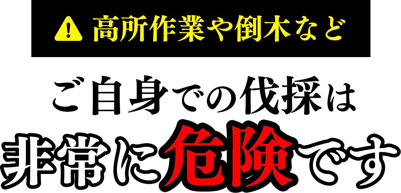 高所作業や倒木など ご自身での伐採は非常に危険です